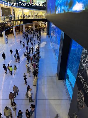 [P02] Dubai Aquarium se află în Mall » foto by AZE
 - 
<span class="allrVoted glyphicon glyphicon-heart hidden" id="av1483333"></span>
<a class="m-l-10 hidden" id="sv1483333" onclick="voting_Foto_DelVot(,1483333,19983)" role="button">șterge vot <span class="glyphicon glyphicon-remove"></span></a>
<a id="v91483333" class=" c-red"  onclick="voting_Foto_SetVot(1483333)" role="button"><span class="glyphicon glyphicon-heart-empty"></span> <b>LIKE</b> = Votează poza</a> <img class="hidden"  id="f1483333W9" src="/imagini/loader.gif" border="0" /><span class="AjErrMes hidden" id="e1483333ErM"></span>