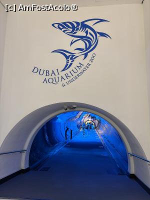 [P03] Dubai Aquarium,intrare în tunelul subacvatic » foto by AZE
 - 
<span class="allrVoted glyphicon glyphicon-heart hidden" id="av1483334"></span>
<a class="m-l-10 hidden" id="sv1483334" onclick="voting_Foto_DelVot(,1483334,19983)" role="button">șterge vot <span class="glyphicon glyphicon-remove"></span></a>
<a id="v91483334" class=" c-red"  onclick="voting_Foto_SetVot(1483334)" role="button"><span class="glyphicon glyphicon-heart-empty"></span> <b>LIKE</b> = Votează poza</a> <img class="hidden"  id="f1483334W9" src="/imagini/loader.gif" border="0" /><span class="AjErrMes hidden" id="e1483334ErM"></span>