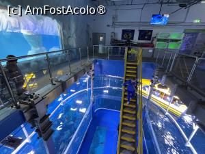 [P35] Dubai Undewater Zoo » foto by AZE
 - 
<span class="allrVoted glyphicon glyphicon-heart hidden" id="av1483366"></span>
<a class="m-l-10 hidden" id="sv1483366" onclick="voting_Foto_DelVot(,1483366,19983)" role="button">șterge vot <span class="glyphicon glyphicon-remove"></span></a>
<a id="v91483366" class=" c-red"  onclick="voting_Foto_SetVot(1483366)" role="button"><span class="glyphicon glyphicon-heart-empty"></span> <b>LIKE</b> = Votează poza</a> <img class="hidden"  id="f1483366W9" src="/imagini/loader.gif" border="0" /><span class="AjErrMes hidden" id="e1483366ErM"></span>