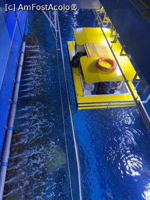 [P44] Dubai Undewater Zoo,barca galbenă cu fund de sticlă » foto by AZE
 - 
<span class="allrVoted glyphicon glyphicon-heart hidden" id="av1483375"></span>
<a class="m-l-10 hidden" id="sv1483375" onclick="voting_Foto_DelVot(,1483375,19983)" role="button">șterge vot <span class="glyphicon glyphicon-remove"></span></a>
<a id="v91483375" class=" c-red"  onclick="voting_Foto_SetVot(1483375)" role="button"><span class="glyphicon glyphicon-heart-empty"></span> <b>LIKE</b> = Votează poza</a> <img class="hidden"  id="f1483375W9" src="/imagini/loader.gif" border="0" /><span class="AjErrMes hidden" id="e1483375ErM"></span>