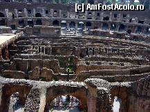 [P27] Piaţa Colosseum-ului: Amfiteatrul lui Flavius, arena » foto by magdalena
 - 
<span class="allrVoted glyphicon glyphicon-heart hidden" id="av283042"></span>
<a class="m-l-10 hidden" id="sv283042" onclick="voting_Foto_DelVot(,283042,20020)" role="button">șterge vot <span class="glyphicon glyphicon-remove"></span></a>
<a id="v9283042" class=" c-red"  onclick="voting_Foto_SetVot(283042)" role="button"><span class="glyphicon glyphicon-heart-empty"></span> <b>LIKE</b> = Votează poza</a> <img class="hidden"  id="f283042W9" src="/imagini/loader.gif" border="0" /><span class="AjErrMes hidden" id="e283042ErM"></span>