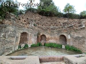 [P10] Romantism în Orti Farnesiani » foto by BristenaBrad
 - 
<span class="allrVoted glyphicon glyphicon-heart hidden" id="av1505576"></span>
<a class="m-l-10 hidden" id="sv1505576" onclick="voting_Foto_DelVot(,1505576,20021)" role="button">șterge vot <span class="glyphicon glyphicon-remove"></span></a>
<a id="v91505576" class=" c-red"  onclick="voting_Foto_SetVot(1505576)" role="button"><span class="glyphicon glyphicon-heart-empty"></span> <b>LIKE</b> = Votează poza</a> <img class="hidden"  id="f1505576W9" src="/imagini/loader.gif" border="0" /><span class="AjErrMes hidden" id="e1505576ErM"></span>