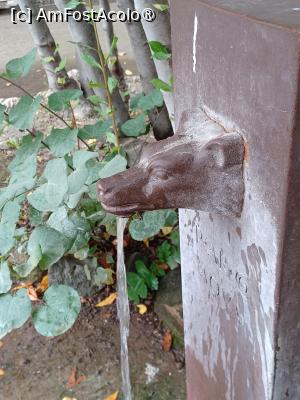 [P35] O cişmea cu cap de lup la Forumul Roman » foto by BristenaBrad
 - 
<span class="allrVoted glyphicon glyphicon-heart hidden" id="av1505688"></span>
<a class="m-l-10 hidden" id="sv1505688" onclick="voting_Foto_DelVot(,1505688,20021)" role="button">șterge vot <span class="glyphicon glyphicon-remove"></span></a>
<a id="v91505688" class=" c-red"  onclick="voting_Foto_SetVot(1505688)" role="button"><span class="glyphicon glyphicon-heart-empty"></span> <b>LIKE</b> = Votează poza</a> <img class="hidden"  id="f1505688W9" src="/imagini/loader.gif" border="0" /><span class="AjErrMes hidden" id="e1505688ErM"></span>