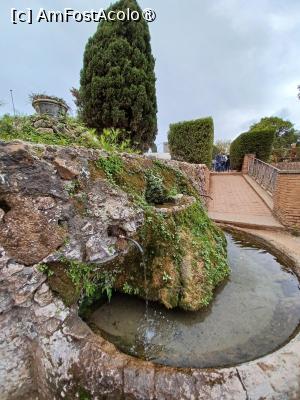 [P09] Romantism în Orti Farnesiani » foto by BristenaBrad
 - 
<span class="allrVoted glyphicon glyphicon-heart hidden" id="av1505575"></span>
<a class="m-l-10 hidden" id="sv1505575" onclick="voting_Foto_DelVot(,1505575,20021)" role="button">șterge vot <span class="glyphicon glyphicon-remove"></span></a>
<a id="v91505575" class=" c-red"  onclick="voting_Foto_SetVot(1505575)" role="button"><span class="glyphicon glyphicon-heart-empty"></span> <b>LIKE</b> = Votează poza</a> <img class="hidden"  id="f1505575W9" src="/imagini/loader.gif" border="0" /><span class="AjErrMes hidden" id="e1505575ErM"></span>