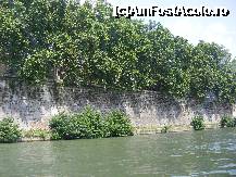 [P05] (Foto 4) Zidurile impunătoare care ţin în frâu apele Tibrului, pe care am făcut o plăcută croazieră cu un vaporaş luat de la piciorul podului Sant'Angelo. » foto by Zina
 - 
<span class="allrVoted glyphicon glyphicon-heart hidden" id="av223966"></span>
<a class="m-l-10 hidden" id="sv223966" onclick="voting_Foto_DelVot(,223966,20021)" role="button">șterge vot <span class="glyphicon glyphicon-remove"></span></a>
<a id="v9223966" class=" c-red"  onclick="voting_Foto_SetVot(223966)" role="button"><span class="glyphicon glyphicon-heart-empty"></span> <b>LIKE</b> = Votează poza</a> <img class="hidden"  id="f223966W9" src="/imagini/loader.gif" border="0" /><span class="AjErrMes hidden" id="e223966ErM"></span>