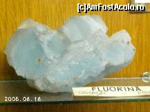 [P16] Mineral de fluorină, o piatră preţioasă apreciată. » foto by Costi
 - 
<span class="allrVoted glyphicon glyphicon-heart hidden" id="av37850"></span>
<a class="m-l-10 hidden" id="sv37850" onclick="voting_Foto_DelVot(,37850,20092)" role="button">șterge vot <span class="glyphicon glyphicon-remove"></span></a>
<a id="v937850" class=" c-red"  onclick="voting_Foto_SetVot(37850)" role="button"><span class="glyphicon glyphicon-heart-empty"></span> <b>LIKE</b> = Votează poza</a> <img class="hidden"  id="f37850W9" src="/imagini/loader.gif" border="0" /><span class="AjErrMes hidden" id="e37850ErM"></span>