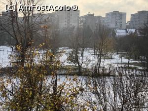 [P41]  -- <small>// FĂRĂ DESCRIERE</small> » foto by Dan&Ema
 - 
<span class="allrVoted glyphicon glyphicon-heart hidden" id="av1207834"></span>
<a class="m-l-10 hidden" id="sv1207834" onclick="voting_Foto_DelVot(,1207834,20190)" role="button">șterge vot <span class="glyphicon glyphicon-remove"></span></a>
<a id="v91207834" class=" c-red"  onclick="voting_Foto_SetVot(1207834)" role="button"><span class="glyphicon glyphicon-heart-empty"></span> <b>LIKE</b> = Votează poza</a> <img class="hidden"  id="f1207834W9" src="/imagini/loader.gif" border="0" /><span class="AjErrMes hidden" id="e1207834ErM"></span>