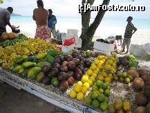 P07 [MAY-2013] Mango, avocado si alte fructre specifice insulei