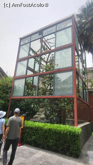 [P28] Arborele sfant Bodhi, transplantat in anul 2014 din India, Bodhi Gaya, locul sfant unde Shakyamuni a devenit Buddha. A calatorit mii de kilometri si a fost nevoie de 3 ani pentru a ajunge aici, semnificand ,,transplantarea” budhismului in China. » foto by geani anto
 - 
<span class="allrVoted glyphicon glyphicon-heart hidden" id="av1496625"></span>
<a class="m-l-10 hidden" id="sv1496625" onclick="voting_Foto_DelVot(,1496625,20766)" role="button">șterge vot <span class="glyphicon glyphicon-remove"></span></a>
<a id="v91496625" class=" c-red"  onclick="voting_Foto_SetVot(1496625)" role="button"><span class="glyphicon glyphicon-heart-empty"></span> <b>LIKE</b> = Votează poza</a> <img class="hidden"  id="f1496625W9" src="/imagini/loader.gif" border="0" /><span class="AjErrMes hidden" id="e1496625ErM"></span>