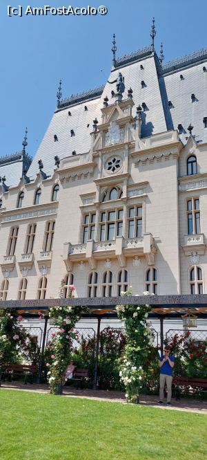 [P12] Palatul Culturii din Iași: latura sudică » foto by Carmen Ion
 - 
<span class="allrVoted glyphicon glyphicon-heart hidden" id="av1505431"></span>
<a class="m-l-10 hidden" id="sv1505431" onclick="voting_Foto_DelVot(,1505431,20792)" role="button">șterge vot <span class="glyphicon glyphicon-remove"></span></a>
<a id="v91505431" class=" c-red"  onclick="voting_Foto_SetVot(1505431)" role="button"><span class="glyphicon glyphicon-heart-empty"></span> <b>LIKE</b> = Votează poza</a> <img class="hidden"  id="f1505431W9" src="/imagini/loader.gif" border="0" /><span class="AjErrMes hidden" id="e1505431ErM"></span>