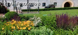 [P88] Grădinile Palas » foto by Carmen Ion
 - 
<span class="allrVoted glyphicon glyphicon-heart hidden" id="av1505507"></span>
<a class="m-l-10 hidden" id="sv1505507" onclick="voting_Foto_DelVot(,1505507,20792)" role="button">șterge vot <span class="glyphicon glyphicon-remove"></span></a>
<a id="v91505507" class=" c-red"  onclick="voting_Foto_SetVot(1505507)" role="button"><span class="glyphicon glyphicon-heart-empty"></span> <b>LIKE</b> = Votează poza</a> <img class="hidden"  id="f1505507W9" src="/imagini/loader.gif" border="0" /><span class="AjErrMes hidden" id="e1505507ErM"></span>