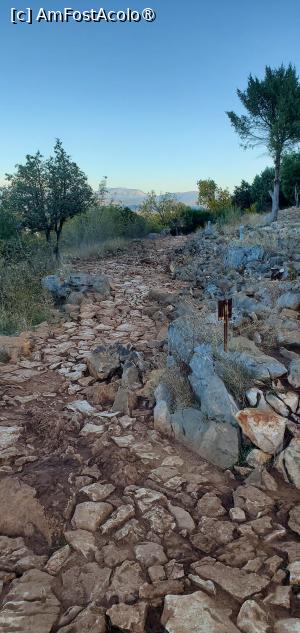 [P01] coborarea de pe dealul aratarilor » foto by ionyde
 - 
<span class="allrVoted glyphicon glyphicon-heart hidden" id="av1504951"></span>
<a class="m-l-10 hidden" id="sv1504951" onclick="voting_Foto_DelVot(,1504951,21049)" role="button">șterge vot <span class="glyphicon glyphicon-remove"></span></a>
<a id="v91504951" class=" c-red"  onclick="voting_Foto_SetVot(1504951)" role="button"><span class="glyphicon glyphicon-heart-empty"></span> <b>LIKE</b> = Votează poza</a> <img class="hidden"  id="f1504951W9" src="/imagini/loader.gif" border="0" /><span class="AjErrMes hidden" id="e1504951ErM"></span>