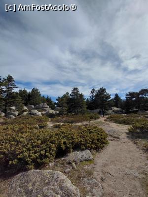 [P07] Peisaj pe Uludağ. » foto by AndraP77
 - 
<span class="allrVoted glyphicon glyphicon-heart hidden" id="av1509173"></span>
<a class="m-l-10 hidden" id="sv1509173" onclick="voting_Foto_DelVot(,1509173,21073)" role="button">șterge vot <span class="glyphicon glyphicon-remove"></span></a>
<a id="v91509173" class=" c-red"  onclick="voting_Foto_SetVot(1509173)" role="button"><span class="glyphicon glyphicon-heart-empty"></span> <b>LIKE</b> = Votează poza</a> <img class="hidden"  id="f1509173W9" src="/imagini/loader.gif" border="0" /><span class="AjErrMes hidden" id="e1509173ErM"></span>