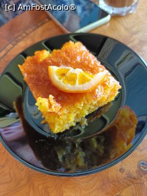[P13] Orange pie. » foto by tata123 🔱
 - 
<span class="allrVoted glyphicon glyphicon-heart hidden" id="av1548796"></span>
<a class="m-l-10 hidden" id="sv1548796" onclick="voting_Foto_DelVot(,1548796,21168)" role="button">șterge vot <span class="glyphicon glyphicon-remove"></span></a>
<a id="v91548796" class=" c-red"  onclick="voting_Foto_SetVot(1548796)" role="button"><span class="glyphicon glyphicon-heart-empty"></span> <b>LIKE</b> = Votează poza</a> <img class="hidden"  id="f1548796W9" src="/imagini/loader.gif" border="0" /><span class="AjErrMes hidden" id="e1548796ErM"></span>