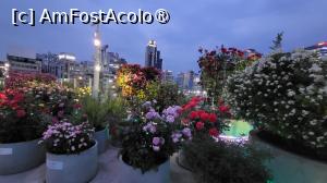 [P08] Seara, multitudinea de lumini albastre de pe noul pod ne-a ghidat plimbarea printre  stalpii luminati, copaci si flori, pana am ajuns la 'Docking Seoul', o initiativa care a transformat o rampa spiralata de parcare abandonata, intr-un spatiu de arta urbana, o expozitie ecologica si o instalatie creativa.  » foto by geani anto
 - 
<span class="allrVoted glyphicon glyphicon-heart hidden" id="av1512352"></span>
<a class="m-l-10 hidden" id="sv1512352" onclick="voting_Foto_DelVot(,1512352,21214)" role="button">șterge vot <span class="glyphicon glyphicon-remove"></span></a>
<a id="v91512352" class=" c-red"  onclick="voting_Foto_SetVot(1512352)" role="button"><span class="glyphicon glyphicon-heart-empty"></span> <b>LIKE</b> = Votează poza</a> <img class="hidden"  id="f1512352W9" src="/imagini/loader.gif" border="0" /><span class="AjErrMes hidden" id="e1512352ErM"></span>