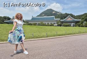 [P02] Cladirea principala, construita in 1991, a servit drept birou prezidential si al primei doamne. Exteriorul cladirii urmeaza stilul arhitectural traditional coreean, cu un acoperis in 2 ape, impodobit cu 150.000 de tigle albastre, linia acoperisului curbat fin imbinandu-se frumos cu Muntele Bugaksan din fundal. 
Desi de la distanta poate parea impartita in 3 sectiuni, se compune dintr-o cladire centrala cu 2 etaje, flancata de 2 aripi cu un singur etaj, situate la stanga si la dreapta cladirii principale, decorate intr-un stil contemporan si dotate cu facilitati moderne. » foto by geani anto
 - 
<span class="allrVoted glyphicon glyphicon-heart hidden" id="av1516971"></span>
<a class="m-l-10 hidden" id="sv1516971" onclick="voting_Foto_DelVot(,1516971,21214)" role="button">șterge vot <span class="glyphicon glyphicon-remove"></span></a>
<a id="v91516971" class=" c-red"  onclick="voting_Foto_SetVot(1516971)" role="button"><span class="glyphicon glyphicon-heart-empty"></span> <b>LIKE</b> = Votează poza</a> <img class="hidden"  id="f1516971W9" src="/imagini/loader.gif" border="0" /><span class="AjErrMes hidden" id="e1516971ErM"></span>