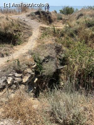 [P16] Cărarea cunoașterii, e cam năpădită de buruieni, dar așa e cunoașterea, grea ! » foto by Yersinia Pestis
 - 
<span class="allrVoted glyphicon glyphicon-heart hidden" id="av1491879"></span>
<a class="m-l-10 hidden" id="sv1491879" onclick="voting_Foto_DelVot(,1491879,21220)" role="button">șterge vot <span class="glyphicon glyphicon-remove"></span></a>
<a id="v91491879" class=" c-red"  onclick="voting_Foto_SetVot(1491879)" role="button"><span class="glyphicon glyphicon-heart-empty"></span> <b>LIKE</b> = Votează poza</a> <img class="hidden"  id="f1491879W9" src="/imagini/loader.gif" border="0" /><span class="AjErrMes hidden" id="e1491879ErM"></span>
