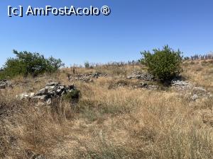 [P09] Deci, Cetatea » foto by Yersinia Pestis
 - 
<span class="allrVoted glyphicon glyphicon-heart hidden" id="av1491872"></span>
<a class="m-l-10 hidden" id="sv1491872" onclick="voting_Foto_DelVot(,1491872,21220)" role="button">șterge vot <span class="glyphicon glyphicon-remove"></span></a>
<a id="v91491872" class=" c-red"  onclick="voting_Foto_SetVot(1491872)" role="button"><span class="glyphicon glyphicon-heart-empty"></span> <b>LIKE</b> = Votează poza</a> <img class="hidden"  id="f1491872W9" src="/imagini/loader.gif" border="0" /><span class="AjErrMes hidden" id="e1491872ErM"></span>
