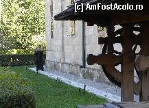 P11 [SEP-2011] Mănăstirea Negru Vodă din Câmpulung Muscel: ritualul baterii toacei