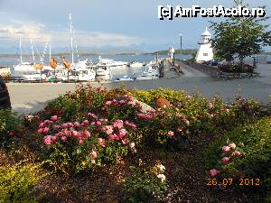 P23 [JUL-2013] Molde - 'Oraşul trandafirilor'. În port. 