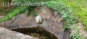[P10] Ochiuri de apă în grădină. » foto by tata123 🔱
 - 
<span class="allrVoted glyphicon glyphicon-heart hidden" id="av1482281"></span>
<a class="m-l-10 hidden" id="sv1482281" onclick="voting_Foto_DelVot(,1482281,21279)" role="button">șterge vot <span class="glyphicon glyphicon-remove"></span></a>
<a id="v91482281" class=" c-red"  onclick="voting_Foto_SetVot(1482281)" role="button"><span class="glyphicon glyphicon-heart-empty"></span> <b>LIKE</b> = Votează poza</a> <img class="hidden"  id="f1482281W9" src="/imagini/loader.gif" border="0" /><span class="AjErrMes hidden" id="e1482281ErM"></span>