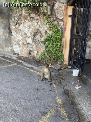 [P14] La intrare în pestera » foto by aurora56
 - 
<span class="allrVoted glyphicon glyphicon-heart hidden" id="av1507688"></span>
<a class="m-l-10 hidden" id="sv1507688" onclick="voting_Foto_DelVot(,1507688,21289)" role="button">șterge vot <span class="glyphicon glyphicon-remove"></span></a>
<a id="v91507688" class=" c-red"  onclick="voting_Foto_SetVot(1507688)" role="button"><span class="glyphicon glyphicon-heart-empty"></span> <b>LIKE</b> = Votează poza</a> <img class="hidden"  id="f1507688W9" src="/imagini/loader.gif" border="0" /><span class="AjErrMes hidden" id="e1507688ErM"></span>