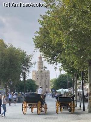 [P15] poza pe o alee ,in spate se vede o catedrala » foto by aurora56
 - 
<span class="allrVoted glyphicon glyphicon-heart hidden" id="av1507759"></span>
<a class="m-l-10 hidden" id="sv1507759" onclick="voting_Foto_DelVot(,1507759,21289)" role="button">șterge vot <span class="glyphicon glyphicon-remove"></span></a>
<a id="v91507759" class=" c-red"  onclick="voting_Foto_SetVot(1507759)" role="button"><span class="glyphicon glyphicon-heart-empty"></span> <b>LIKE</b> = Votează poza</a> <img class="hidden"  id="f1507759W9" src="/imagini/loader.gif" border="0" /><span class="AjErrMes hidden" id="e1507759ErM"></span>