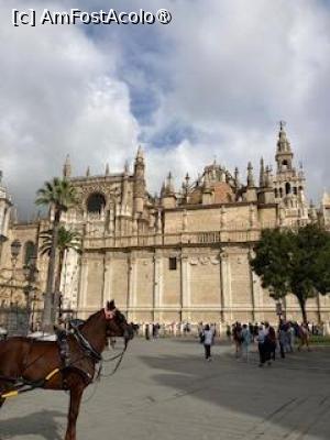 [P02] catedrala Sevilla exterior » foto by aurora56
 - 
<span class="allrVoted glyphicon glyphicon-heart hidden" id="av1507746"></span>
<a class="m-l-10 hidden" id="sv1507746" onclick="voting_Foto_DelVot(,1507746,21289)" role="button">șterge vot <span class="glyphicon glyphicon-remove"></span></a>
<a id="v91507746" class=" c-red"  onclick="voting_Foto_SetVot(1507746)" role="button"><span class="glyphicon glyphicon-heart-empty"></span> <b>LIKE</b> = Votează poza</a> <img class="hidden"  id="f1507746W9" src="/imagini/loader.gif" border="0" /><span class="AjErrMes hidden" id="e1507746ErM"></span>