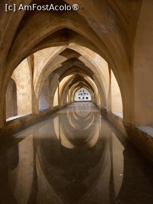 [P29] Baia din Palatul Alcazar » foto by aurora56
 - 
<span class="allrVoted glyphicon glyphicon-heart hidden" id="av1507773"></span>
<a class="m-l-10 hidden" id="sv1507773" onclick="voting_Foto_DelVot(,1507773,21289)" role="button">șterge vot <span class="glyphicon glyphicon-remove"></span></a>
<a id="v91507773" class=" c-red"  onclick="voting_Foto_SetVot(1507773)" role="button"><span class="glyphicon glyphicon-heart-empty"></span> <b>LIKE</b> = Votează poza</a> <img class="hidden"  id="f1507773W9" src="/imagini/loader.gif" border="0" /><span class="AjErrMes hidden" id="e1507773ErM"></span>