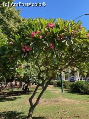 [P02] in drum spre oras » foto by aurora56
 - 
<span class="allrVoted glyphicon glyphicon-heart hidden" id="av1509132"></span>
<a class="m-l-10 hidden" id="sv1509132" onclick="voting_Foto_DelVot(,1509132,21289)" role="button">șterge vot <span class="glyphicon glyphicon-remove"></span></a>
<a id="v91509132" class=" c-red"  onclick="voting_Foto_SetVot(1509132)" role="button"><span class="glyphicon glyphicon-heart-empty"></span> <b>LIKE</b> = Votează poza</a> <img class="hidden"  id="f1509132W9" src="/imagini/loader.gif" border="0" /><span class="AjErrMes hidden" id="e1509132ErM"></span>