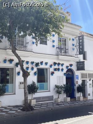 [P34] Mai multe ghivece » foto by aurora56
 - 
<span class="allrVoted glyphicon glyphicon-heart hidden" id="av1509164"></span>
<a class="m-l-10 hidden" id="sv1509164" onclick="voting_Foto_DelVot(,1509164,21289)" role="button">șterge vot <span class="glyphicon glyphicon-remove"></span></a>
<a id="v91509164" class=" c-red"  onclick="voting_Foto_SetVot(1509164)" role="button"><span class="glyphicon glyphicon-heart-empty"></span> <b>LIKE</b> = Votează poza</a> <img class="hidden"  id="f1509164W9" src="/imagini/loader.gif" border="0" /><span class="AjErrMes hidden" id="e1509164ErM"></span>