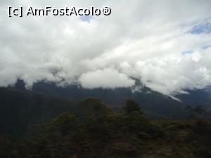 [P05] asa arata Cloud Forest » foto by buterfly*
 - 
<span class="allrVoted glyphicon glyphicon-heart hidden" id="av828775"></span>
<a class="m-l-10 hidden" id="sv828775" onclick="voting_Foto_DelVot(,828775,21292)" role="button">șterge vot <span class="glyphicon glyphicon-remove"></span></a>
<a id="v9828775" class=" c-red"  onclick="voting_Foto_SetVot(828775)" role="button"><span class="glyphicon glyphicon-heart-empty"></span> <b>LIKE</b> = Votează poza</a> <img class="hidden"  id="f828775W9" src="/imagini/loader.gif" border="0" /><span class="AjErrMes hidden" id="e828775ErM"></span>