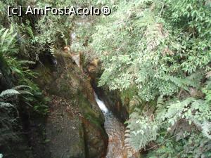 [P07] canioane si rauri prin jungla » foto by buterfly*
 - 
<span class="allrVoted glyphicon glyphicon-heart hidden" id="av828777"></span>
<a class="m-l-10 hidden" id="sv828777" onclick="voting_Foto_DelVot(,828777,21292)" role="button">șterge vot <span class="glyphicon glyphicon-remove"></span></a>
<a id="v9828777" class=" c-red"  onclick="voting_Foto_SetVot(828777)" role="button"><span class="glyphicon glyphicon-heart-empty"></span> <b>LIKE</b> = Votează poza</a> <img class="hidden"  id="f828777W9" src="/imagini/loader.gif" border="0" /><span class="AjErrMes hidden" id="e828777ErM"></span>