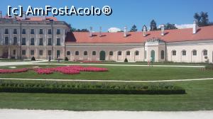 P03 [AUG-2016] Aranjament floral la Castelul Esterhazy,  oraşul Fertod, Ungaria.
