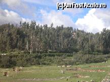 [P02] deposite si adaposturi ale sitului Sacsayhuaman » foto by grecudoina
 - 
<span class="allrVoted glyphicon glyphicon-heart hidden" id="av399717"></span>
<a class="m-l-10 hidden" id="sv399717" onclick="voting_Foto_DelVot(,399717,21384)" role="button">șterge vot <span class="glyphicon glyphicon-remove"></span></a>
<a id="v9399717" class=" c-red"  onclick="voting_Foto_SetVot(399717)" role="button"><span class="glyphicon glyphicon-heart-empty"></span> <b>LIKE</b> = Votează poza</a> <img class="hidden"  id="f399717W9" src="/imagini/loader.gif" border="0" /><span class="AjErrMes hidden" id="e399717ErM"></span>