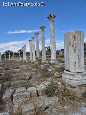 [P14] Salamis - Gymnasiul » foto by ANILU
 - 
<span class="allrVoted glyphicon glyphicon-heart hidden" id="av1506983"></span>
<a class="m-l-10 hidden" id="sv1506983" onclick="voting_Foto_DelVot(,1506983,21413)" role="button">șterge vot <span class="glyphicon glyphicon-remove"></span></a>
<a id="v91506983" class=" c-red"  onclick="voting_Foto_SetVot(1506983)" role="button"><span class="glyphicon glyphicon-heart-empty"></span> <b>LIKE</b> = Votează poza</a> <img class="hidden"  id="f1506983W9" src="/imagini/loader.gif" border="0" /><span class="AjErrMes hidden" id="e1506983ErM"></span>