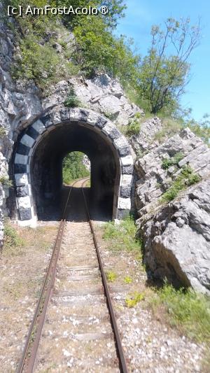 [P12] Ieșirea din tunelul Țiglă » foto by Mitica49
 - 
<span class="allrVoted glyphicon glyphicon-heart hidden" id="av1527350"></span>
<a class="m-l-10 hidden" id="sv1527350" onclick="voting_Foto_DelVot(,1527350,21531)" role="button">șterge vot <span class="glyphicon glyphicon-remove"></span></a>
<a id="v91527350" class=" c-red"  onclick="voting_Foto_SetVot(1527350)" role="button"><span class="glyphicon glyphicon-heart-empty"></span> <b>LIKE</b> = Votează poza</a> <img class="hidden"  id="f1527350W9" src="/imagini/loader.gif" border="0" /><span class="AjErrMes hidden" id="e1527350ErM"></span>