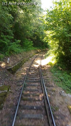 [P19] Tunel de arbori » foto by Mitica49
 - 
<span class="allrVoted glyphicon glyphicon-heart hidden" id="av1527357"></span>
<a class="m-l-10 hidden" id="sv1527357" onclick="voting_Foto_DelVot(,1527357,21531)" role="button">șterge vot <span class="glyphicon glyphicon-remove"></span></a>
<a id="v91527357" class=" c-red"  onclick="voting_Foto_SetVot(1527357)" role="button"><span class="glyphicon glyphicon-heart-empty"></span> <b>LIKE</b> = Votează poza</a> <img class="hidden"  id="f1527357W9" src="/imagini/loader.gif" border="0" /><span class="AjErrMes hidden" id="e1527357ErM"></span>