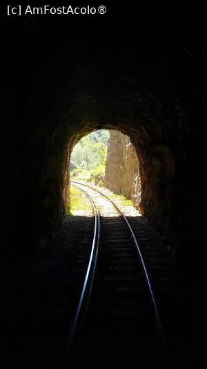 [P32] În tunel » foto by Mitica49
 - 
<span class="allrVoted glyphicon glyphicon-heart hidden" id="av1527370"></span>
<a class="m-l-10 hidden" id="sv1527370" onclick="voting_Foto_DelVot(,1527370,21531)" role="button">șterge vot <span class="glyphicon glyphicon-remove"></span></a>
<a id="v91527370" class=" c-red"  onclick="voting_Foto_SetVot(1527370)" role="button"><span class="glyphicon glyphicon-heart-empty"></span> <b>LIKE</b> = Votează poza</a> <img class="hidden"  id="f1527370W9" src="/imagini/loader.gif" border="0" /><span class="AjErrMes hidden" id="e1527370ErM"></span>