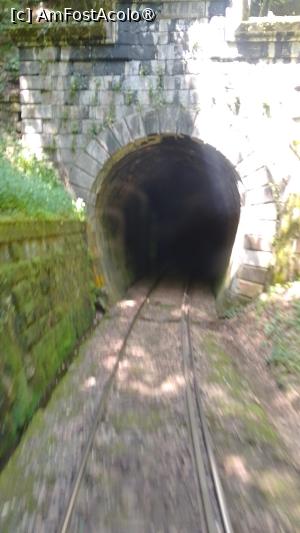 [P06] Tunelul Gârliște » foto by Mitica49
 - 
<span class="allrVoted glyphicon glyphicon-heart hidden" id="av1527344"></span>
<a class="m-l-10 hidden" id="sv1527344" onclick="voting_Foto_DelVot(,1527344,21531)" role="button">șterge vot <span class="glyphicon glyphicon-remove"></span></a>
<a id="v91527344" class=" c-red"  onclick="voting_Foto_SetVot(1527344)" role="button"><span class="glyphicon glyphicon-heart-empty"></span> <b>LIKE</b> = Votează poza</a> <img class="hidden"  id="f1527344W9" src="/imagini/loader.gif" border="0" /><span class="AjErrMes hidden" id="e1527344ErM"></span>