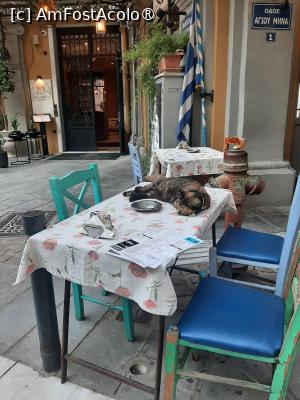 [P15] În fața hotelului » foto by adso
 - 
<span class="allrVoted glyphicon glyphicon-heart hidden" id="av1535240"></span>
<a class="m-l-10 hidden" id="sv1535240" onclick="voting_Foto_DelVot(,1535240,21567)" role="button">șterge vot <span class="glyphicon glyphicon-remove"></span></a>
<a id="v91535240" class=" c-red"  onclick="voting_Foto_SetVot(1535240)" role="button"><span class="glyphicon glyphicon-heart-empty"></span> <b>LIKE</b> = Votează poza</a> <img class="hidden"  id="f1535240W9" src="/imagini/loader.gif" border="0" /><span class="AjErrMes hidden" id="e1535240ErM"></span>