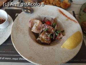 [P07] Frutti Di Mare » foto by adso
 - 
<span class="allrVoted glyphicon glyphicon-heart hidden" id="av1535232"></span>
<a class="m-l-10 hidden" id="sv1535232" onclick="voting_Foto_DelVot(,1535232,21567)" role="button">șterge vot <span class="glyphicon glyphicon-remove"></span></a>
<a id="v91535232" class=" c-red"  onclick="voting_Foto_SetVot(1535232)" role="button"><span class="glyphicon glyphicon-heart-empty"></span> <b>LIKE</b> = Votează poza</a> <img class="hidden"  id="f1535232W9" src="/imagini/loader.gif" border="0" /><span class="AjErrMes hidden" id="e1535232ErM"></span>
