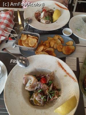 [P08] Frutti Di Mare » foto by adso
 - 
<span class="allrVoted glyphicon glyphicon-heart hidden" id="av1535233"></span>
<a class="m-l-10 hidden" id="sv1535233" onclick="voting_Foto_DelVot(,1535233,21567)" role="button">șterge vot <span class="glyphicon glyphicon-remove"></span></a>
<a id="v91535233" class=" c-red"  onclick="voting_Foto_SetVot(1535233)" role="button"><span class="glyphicon glyphicon-heart-empty"></span> <b>LIKE</b> = Votează poza</a> <img class="hidden"  id="f1535233W9" src="/imagini/loader.gif" border="0" /><span class="AjErrMes hidden" id="e1535233ErM"></span>