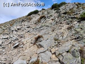 [P01] Vârful Pietrosul Călimanilor(2102m) cel mai înalt vârf vulcanic din M-ții Călimani și Vârful Negoiu Unguresc (2081m) » foto by Dana2008
 - 
<span class="allrVoted glyphicon glyphicon-heart hidden" id="av1180407"></span>
<a class="m-l-10 hidden" id="sv1180407" onclick="voting_Foto_DelVot(,1180407,21597)" role="button">șterge vot <span class="glyphicon glyphicon-remove"></span></a>
<a id="v91180407" class=" c-red"  onclick="voting_Foto_SetVot(1180407)" role="button"><span class="glyphicon glyphicon-heart-empty"></span> <b>LIKE</b> = Votează poza</a> <img class="hidden"  id="f1180407W9" src="/imagini/loader.gif" border="0" /><span class="AjErrMes hidden" id="e1180407ErM"></span>