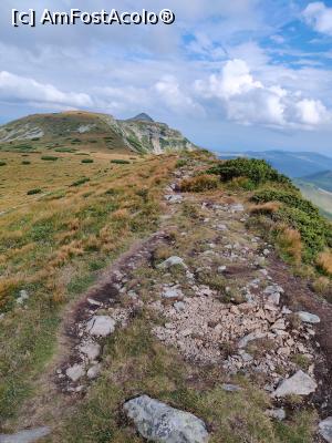 [P02] Vârful Pietrosul Călimanilor(2102m) cel mai înalt vârf vulcanic din M-ții Călimani și Vârful Negoiu Unguresc (2081m) » foto by Dana2008
 - 
<span class="allrVoted glyphicon glyphicon-heart hidden" id="av1180408"></span>
<a class="m-l-10 hidden" id="sv1180408" onclick="voting_Foto_DelVot(,1180408,21597)" role="button">șterge vot <span class="glyphicon glyphicon-remove"></span></a>
<a id="v91180408" class=" c-red"  onclick="voting_Foto_SetVot(1180408)" role="button"><span class="glyphicon glyphicon-heart-empty"></span> <b>LIKE</b> = Votează poza</a> <img class="hidden"  id="f1180408W9" src="/imagini/loader.gif" border="0" /><span class="AjErrMes hidden" id="e1180408ErM"></span>