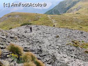 [P20] Vârful Pietrosul Călimanilor(2102m) cel mai înalt vârf vulcanic din M-ții Călimani și Vârful Negoiu Unguresc (2081m) » foto by Dana2008
 - 
<span class="allrVoted glyphicon glyphicon-heart hidden" id="av1180426"></span>
<a class="m-l-10 hidden" id="sv1180426" onclick="voting_Foto_DelVot(,1180426,21597)" role="button">șterge vot <span class="glyphicon glyphicon-remove"></span></a>
<a id="v91180426" class=" c-red"  onclick="voting_Foto_SetVot(1180426)" role="button"><span class="glyphicon glyphicon-heart-empty"></span> <b>LIKE</b> = Votează poza</a> <img class="hidden"  id="f1180426W9" src="/imagini/loader.gif" border="0" /><span class="AjErrMes hidden" id="e1180426ErM"></span>