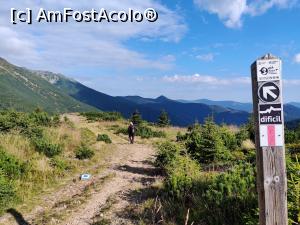 [P26] Vârful Pietrosul Călimanilor(2102m) cel mai înalt vârf vulcanic din M-ții Călimani și Vârful Negoiu Unguresc (2081m) » foto by Dana2008
 - 
<span class="allrVoted glyphicon glyphicon-heart hidden" id="av1180432"></span>
<a class="m-l-10 hidden" id="sv1180432" onclick="voting_Foto_DelVot(,1180432,21597)" role="button">șterge vot <span class="glyphicon glyphicon-remove"></span></a>
<a id="v91180432" class=" c-red"  onclick="voting_Foto_SetVot(1180432)" role="button"><span class="glyphicon glyphicon-heart-empty"></span> <b>LIKE</b> = Votează poza</a> <img class="hidden"  id="f1180432W9" src="/imagini/loader.gif" border="0" /><span class="AjErrMes hidden" id="e1180432ErM"></span>