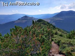 [P33] Vârful Pietrosul Călimanilor(2102m) cel mai înalt vârf vulcanic din M-ții Călimani și Vârful Negoiu Unguresc (2081m) » foto by Dana2008
 - 
<span class="allrVoted glyphicon glyphicon-heart hidden" id="av1180439"></span>
<a class="m-l-10 hidden" id="sv1180439" onclick="voting_Foto_DelVot(,1180439,21597)" role="button">șterge vot <span class="glyphicon glyphicon-remove"></span></a>
<a id="v91180439" class=" c-red"  onclick="voting_Foto_SetVot(1180439)" role="button"><span class="glyphicon glyphicon-heart-empty"></span> <b>LIKE</b> = Votează poza</a> <img class="hidden"  id="f1180439W9" src="/imagini/loader.gif" border="0" /><span class="AjErrMes hidden" id="e1180439ErM"></span>