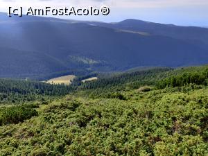 [P35] Vârful Pietrosul Călimanilor(2102m) cel mai înalt vârf vulcanic din M-ții Călimani și Vârful Negoiu Unguresc (2081m) » foto by Dana2008
 - 
<span class="allrVoted glyphicon glyphicon-heart hidden" id="av1180441"></span>
<a class="m-l-10 hidden" id="sv1180441" onclick="voting_Foto_DelVot(,1180441,21597)" role="button">șterge vot <span class="glyphicon glyphicon-remove"></span></a>
<a id="v91180441" class=" c-red"  onclick="voting_Foto_SetVot(1180441)" role="button"><span class="glyphicon glyphicon-heart-empty"></span> <b>LIKE</b> = Votează poza</a> <img class="hidden"  id="f1180441W9" src="/imagini/loader.gif" border="0" /><span class="AjErrMes hidden" id="e1180441ErM"></span>