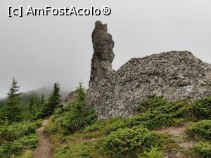 [P18] 12 Apostoli(1760m) rezervație geologică, com. Dorna Candrenilor , jud. Suceava » foto by Dana2008
 - 
<span class="allrVoted glyphicon glyphicon-heart hidden" id="av1180762"></span>
<a class="m-l-10 hidden" id="sv1180762" onclick="voting_Foto_DelVot(,1180762,21597)" role="button">șterge vot <span class="glyphicon glyphicon-remove"></span></a>
<a id="v91180762" class=" c-red"  onclick="voting_Foto_SetVot(1180762)" role="button"><span class="glyphicon glyphicon-heart-empty"></span> <b>LIKE</b> = Votează poza</a> <img class="hidden"  id="f1180762W9" src="/imagini/loader.gif" border="0" /><span class="AjErrMes hidden" id="e1180762ErM"></span>